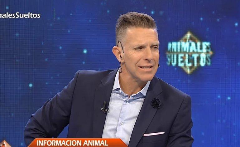 animalessueltosf