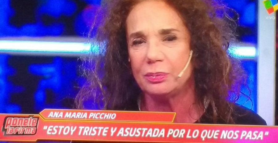 picchio