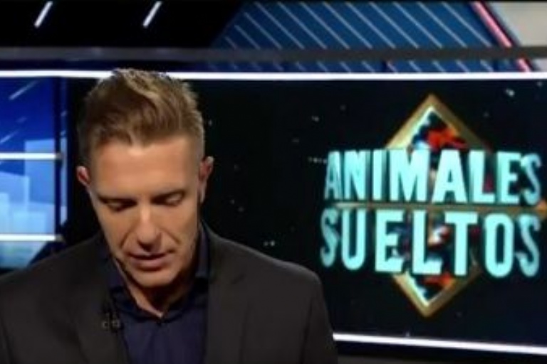 animalessueltos2019