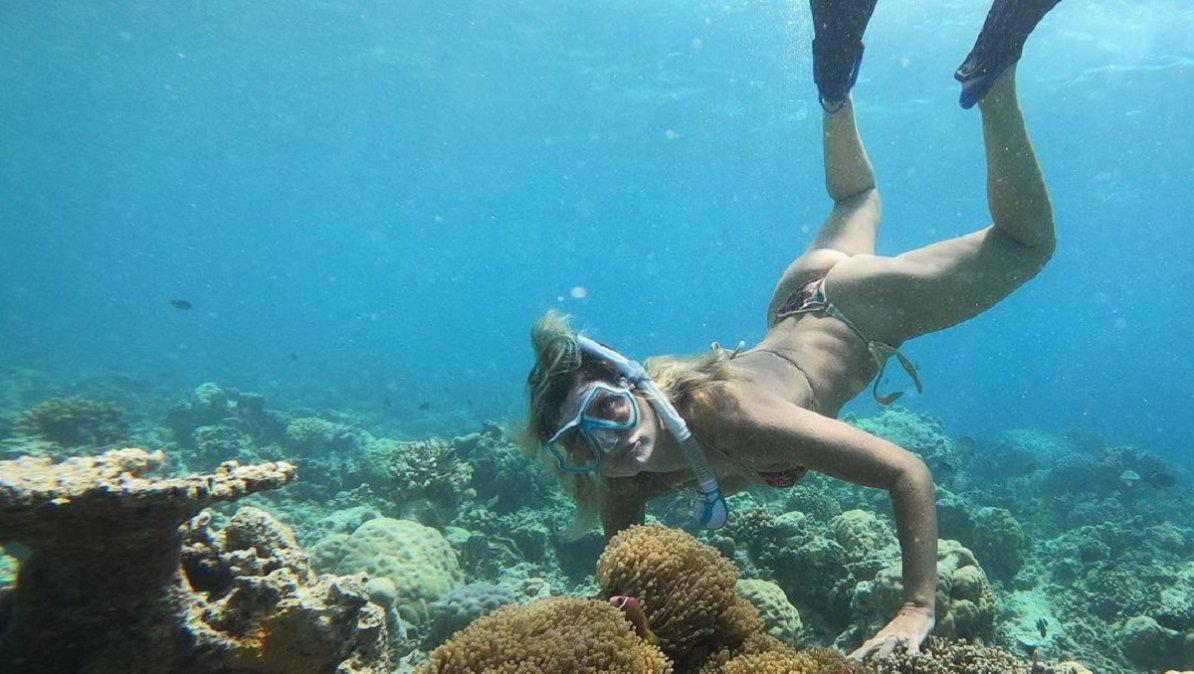 plagerbuceo
